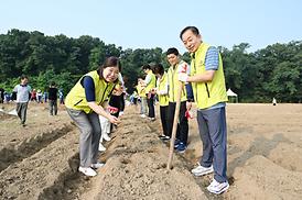 해바라기 파종 심기 행사