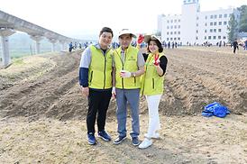 해바라기 파종 심기 행사