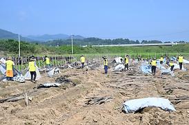 괴산군 수해복구 지원