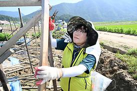 괴산군 수해복구 지원