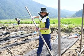 괴산군 수해복구 지원