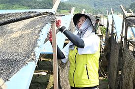 괴산군 수해복구 지원