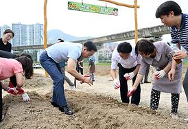 신곡새빛정원 해바라기 파종 행사