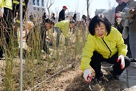 제80회 식목일 기념 봄철 나무심기 행사(산곡동 177-6)