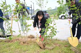 독바위 문화예술 창립 기념식