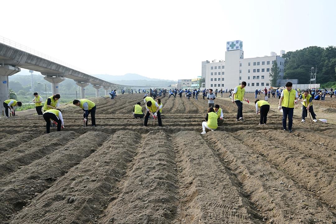 신곡체육공원 해바라기 씨앗 파종 동참2